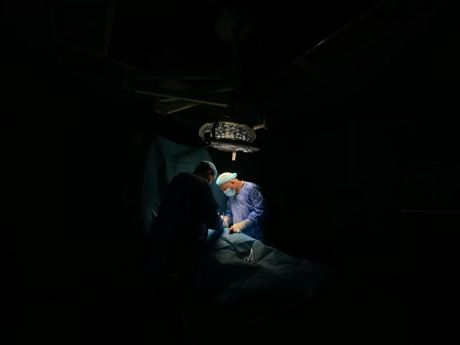 Organ transplantation